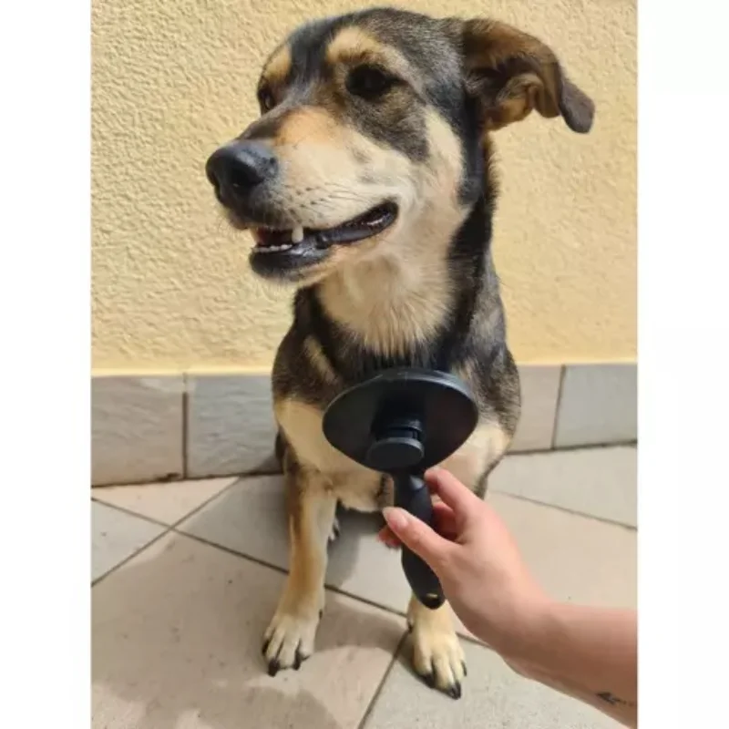 Samočistící kartáč na srst psa a kočky